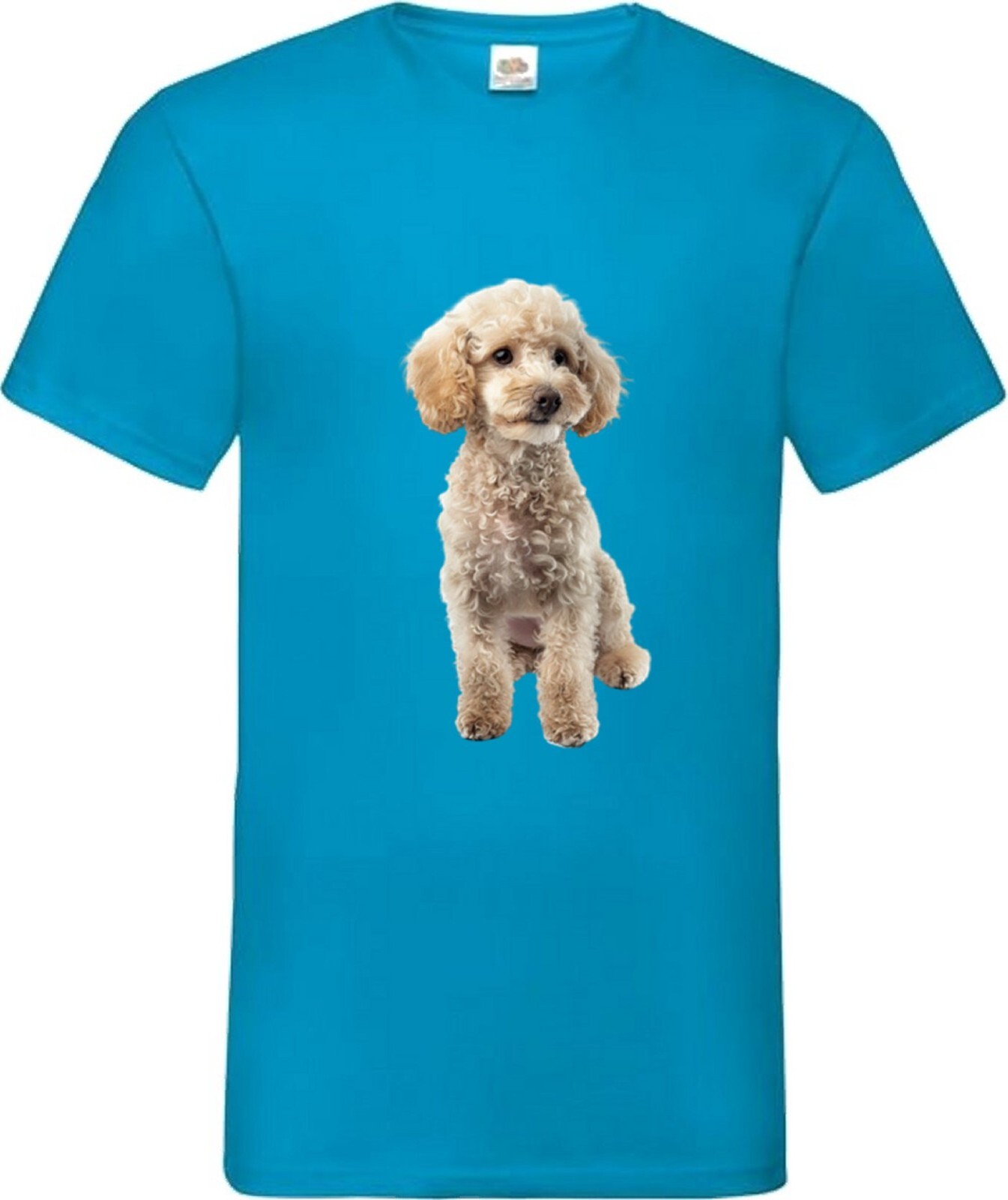 Miniature Poodle White Dog Pet Family Novelty T Shirt Various Colours And Sizes