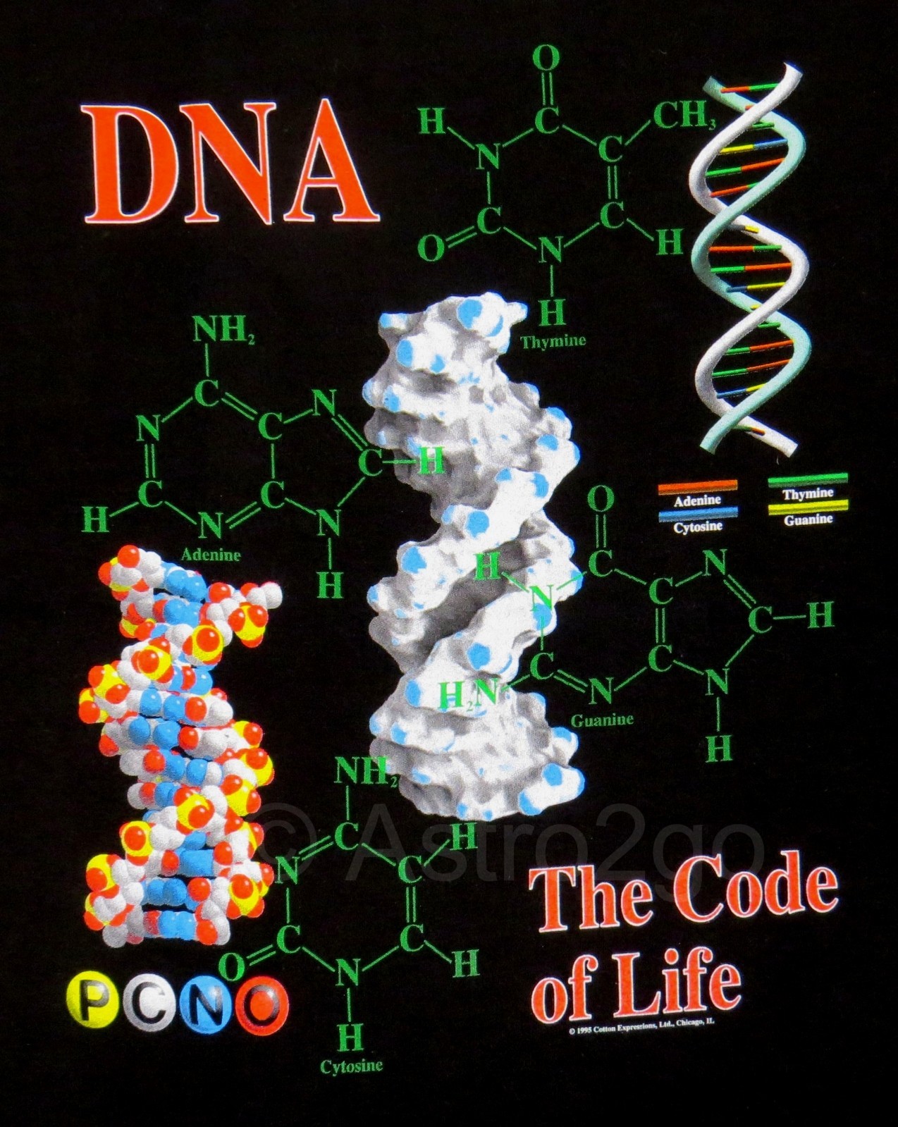 DNA-THE CODE OF LIFE–Genetics Chromosomes Helix Biology Science T shirt S-5XL
