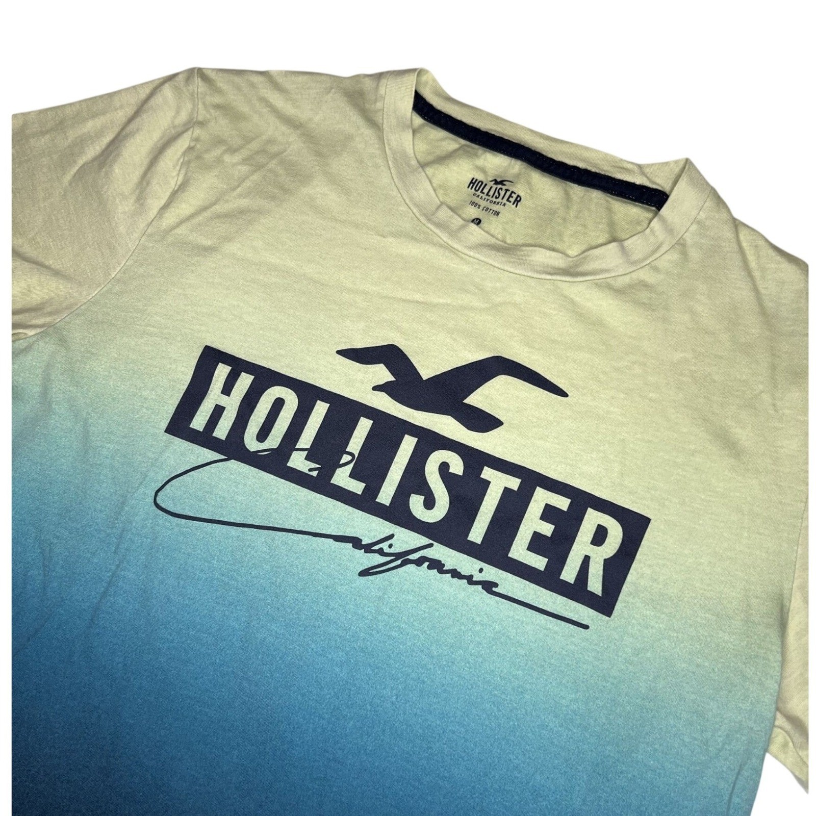 Hollister Mens Ombre Graphic T-Shirt Green Blue Fade Seagull Logo Size M