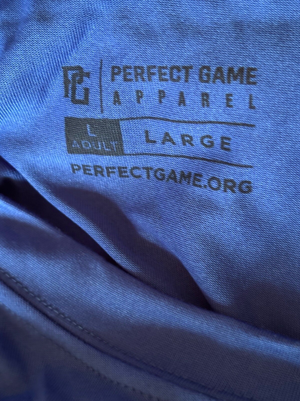 Perfect Game USA Baseball Player Development S/S T-Shirt Blue Large – NWT!