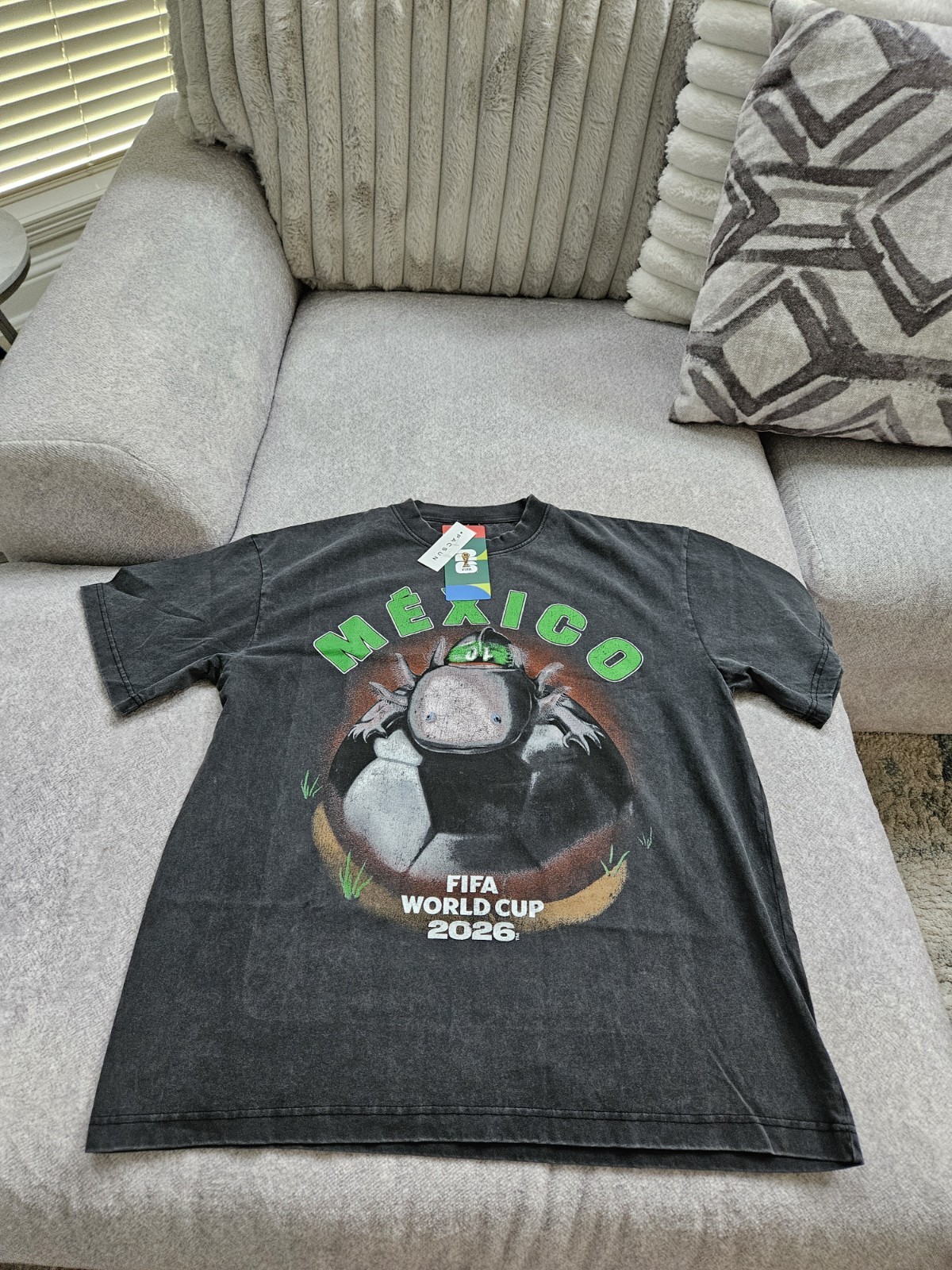FIFA World Cup 2026 Mexico Dog T-Shirt PacSun Charcoal Wash Mens Size Large NWT