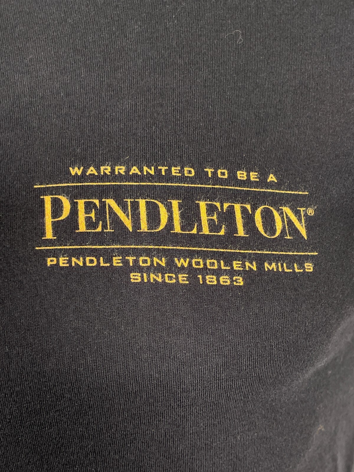 Pendleton Woolen Mills Aztec Tucson Navajo Native Print T-Shirt Men’s SMALL