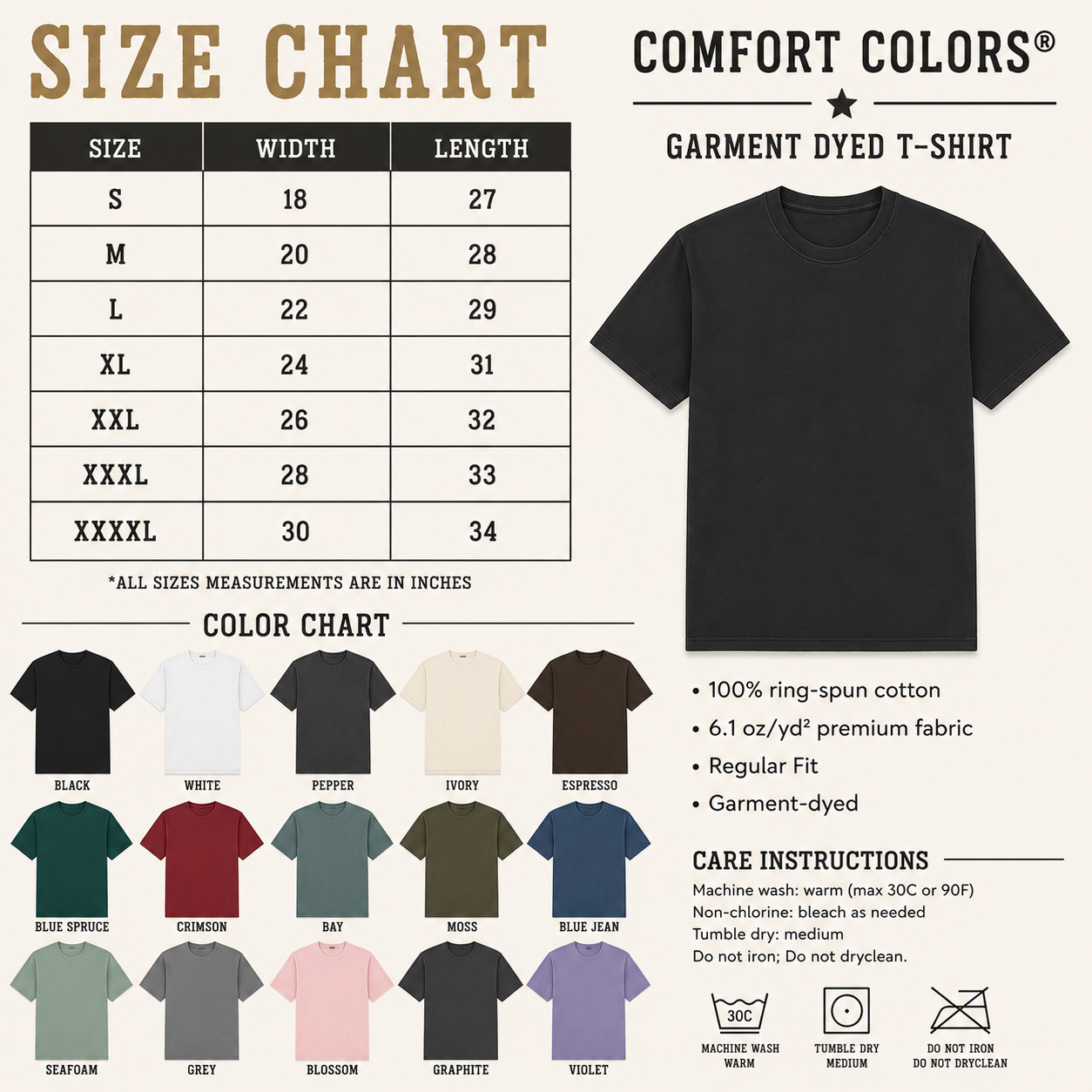 Ash And Starters Retro Streetwear Graphic Comfort Colors T-Shirt