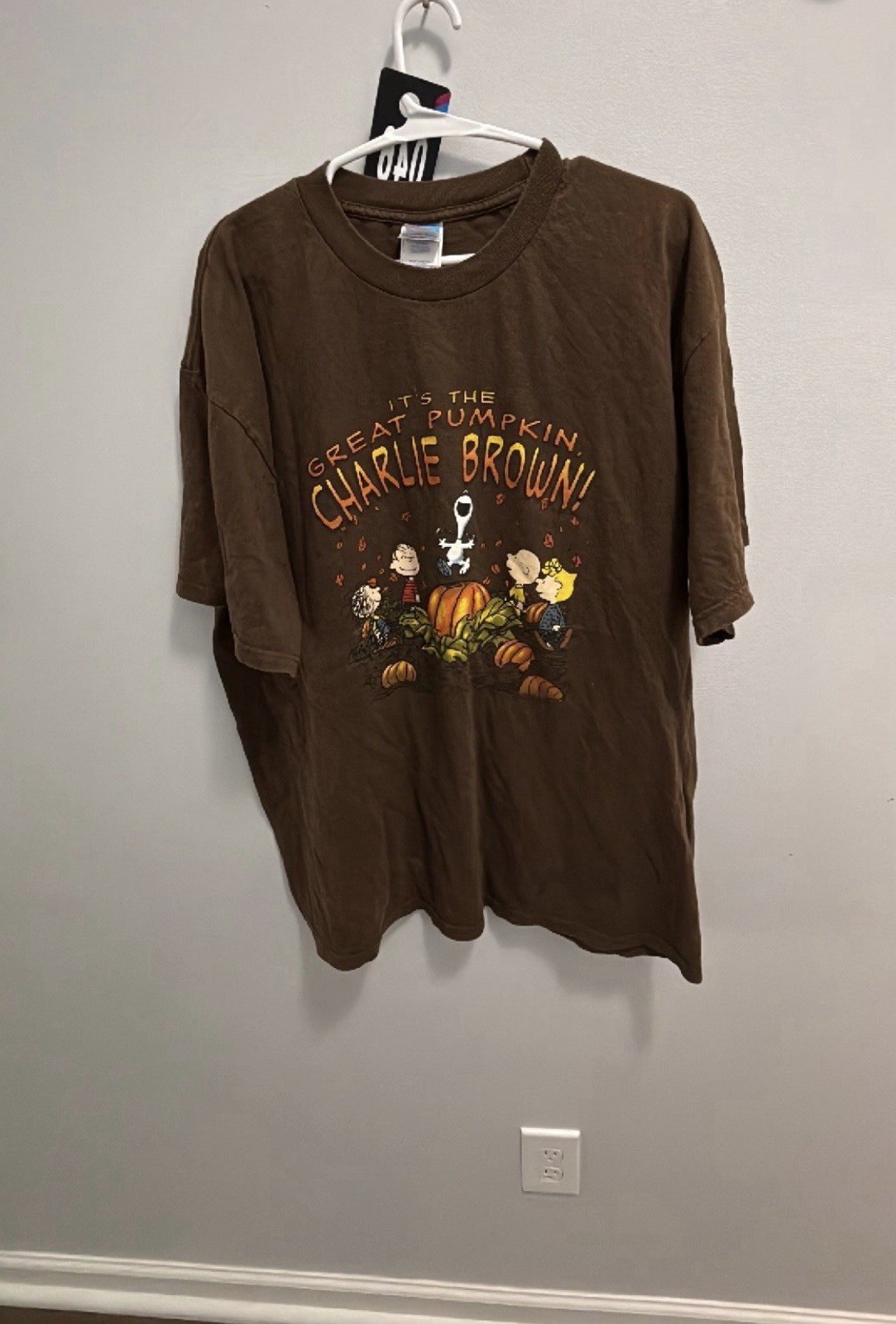 Peanuts Men’s Brown Great Pumpkin Charlie Brown Crew Neck T-Shirt Size XL