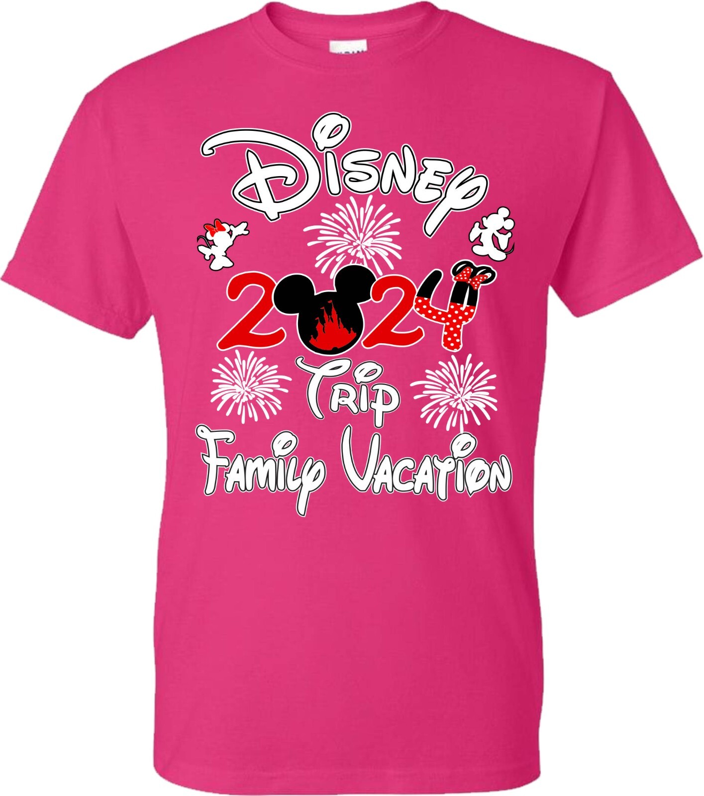 Disney Family Vacation 2024 fire works, Mickey, Minnie, Family Trip, Squad
