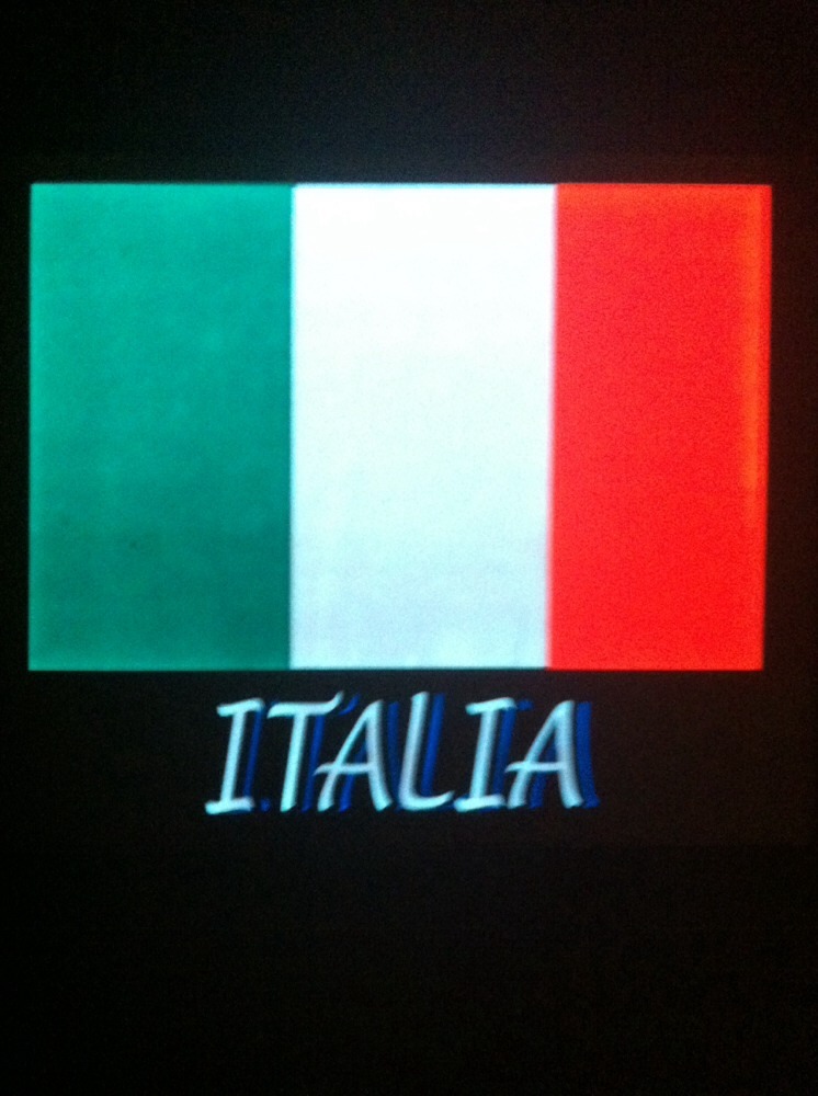 ITALY FLAG Sound Activated Lights Up LED T-Shirt S/L/L/XL/XXL/XXXL