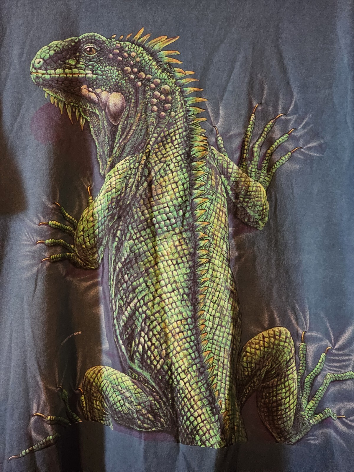 🚨VINTAGE SIGNAL SPORT MENS T SHIRT XL GRAPHIC PRINT IGUANA DOUBLE SIDED GRAIL