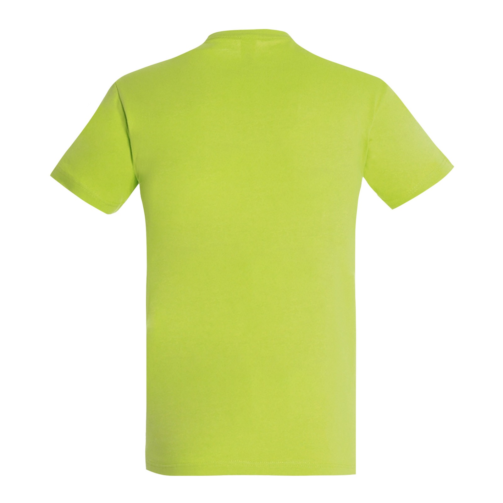 SOLS Mens Imperial Heavyweight Short Sleeve T-Shirt (PC290)