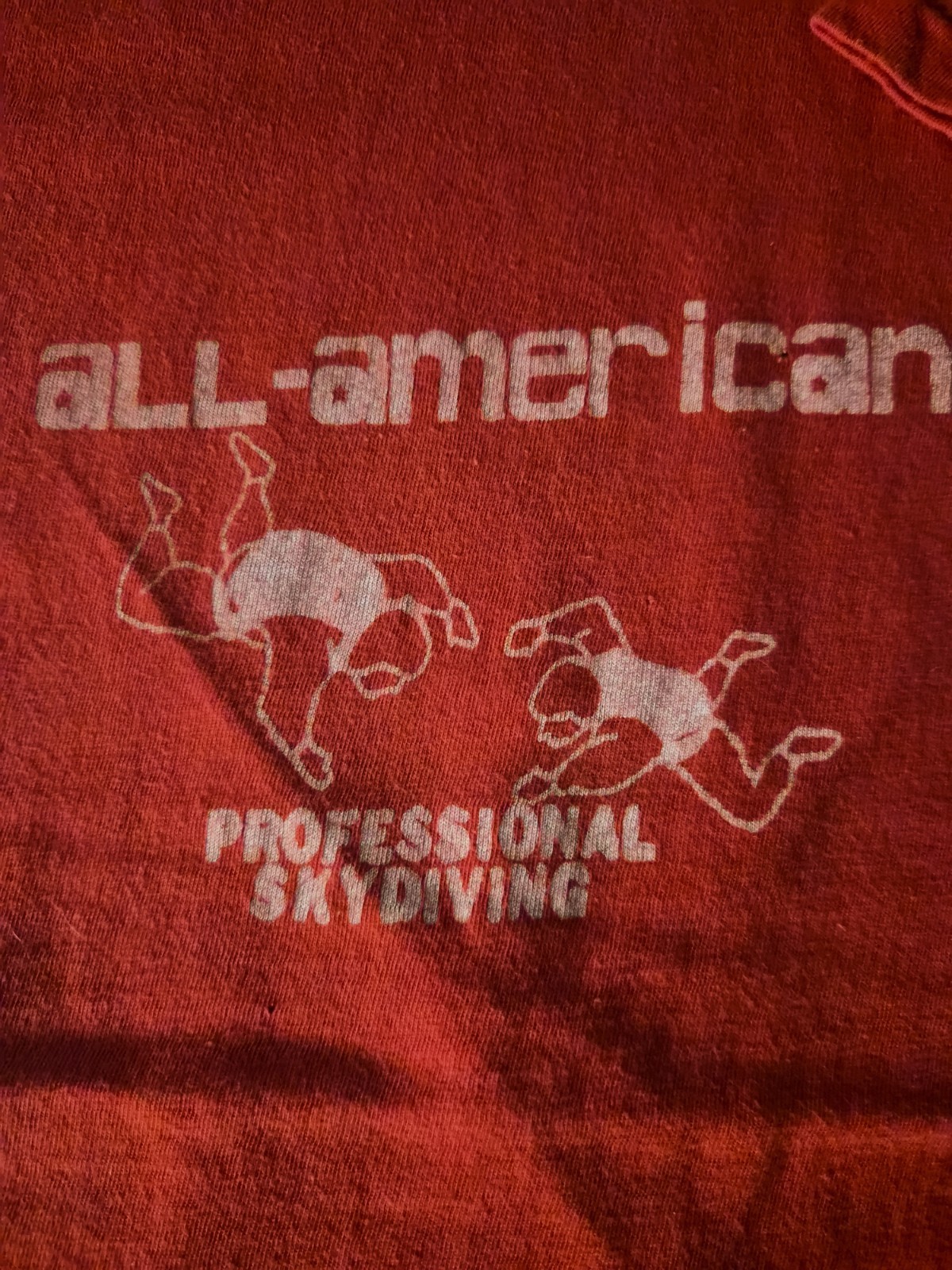 Vintage Late 1970s Early 80s AMERICAN SKYDIVING PROFESSIONAL Shirt Froot ofLoom