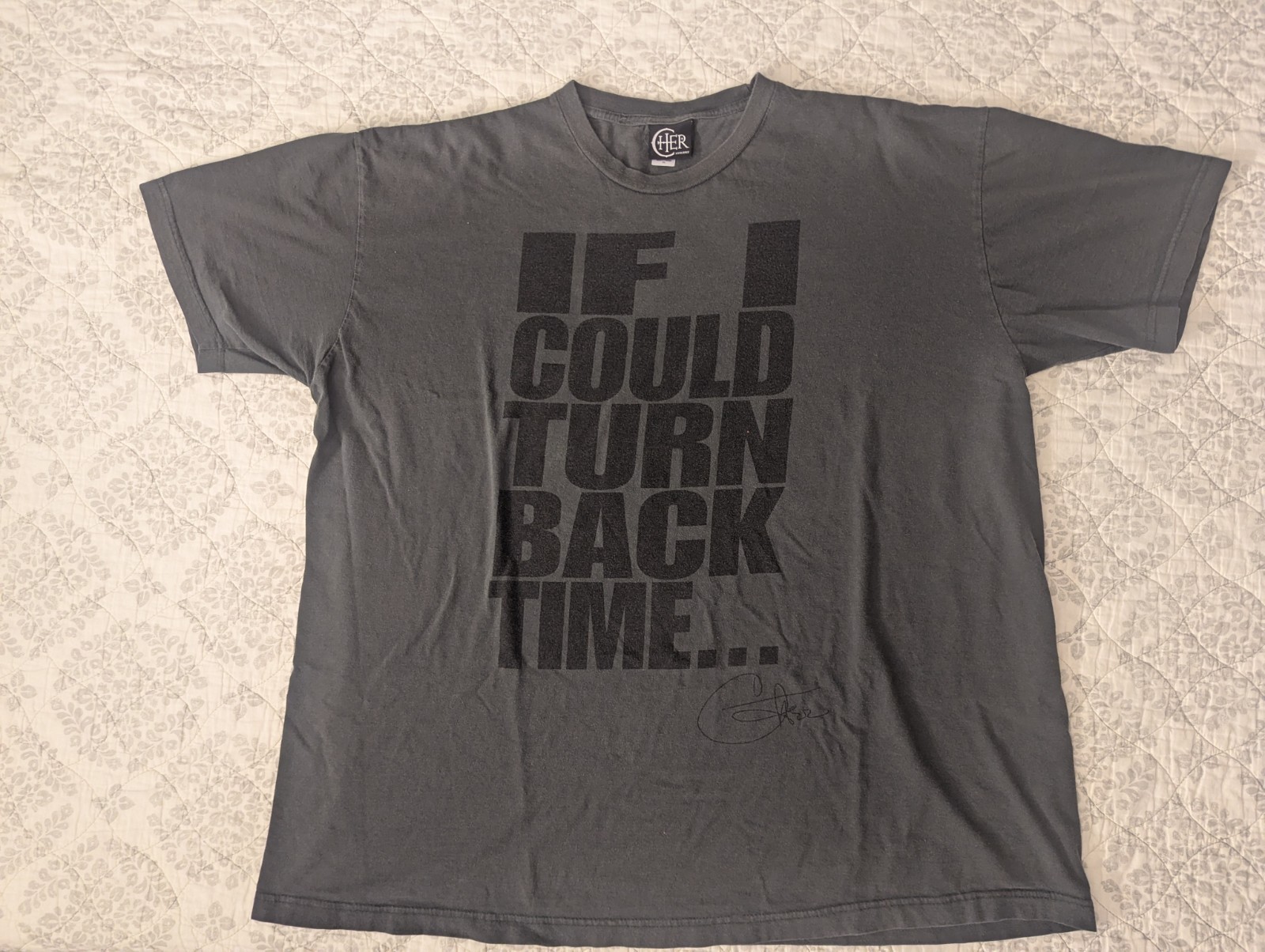 VTG Cher “If I Could Turn Back Time” Mens Shirt 3X Gray T-Shirt Y2K Rocker