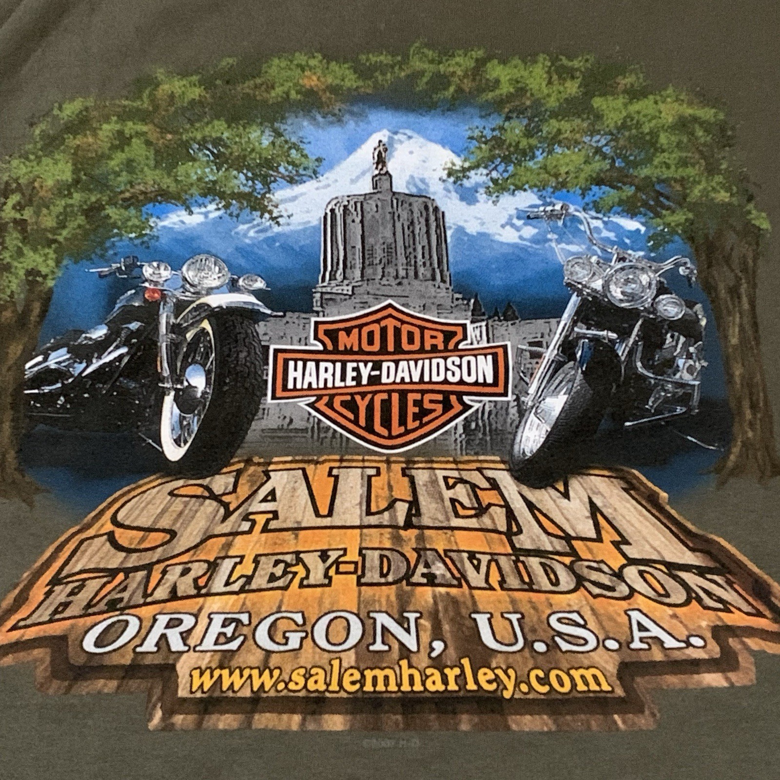 Harley Davidson Large Green Tank Top Sleeveless T Biker Chopper Motorcycle