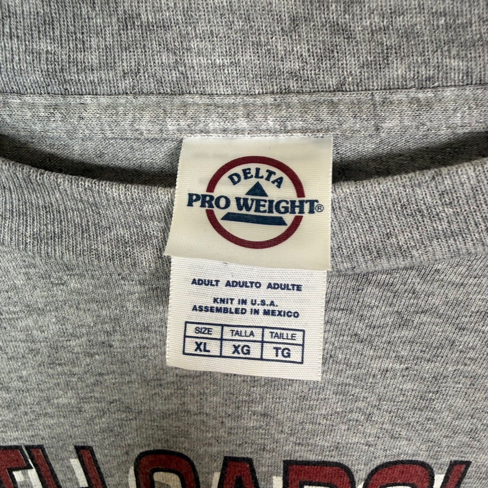 Vintage South Carolina Gamecocks T-Shirt Mens XL Grey NCAA Collegiate 90s Y2K
