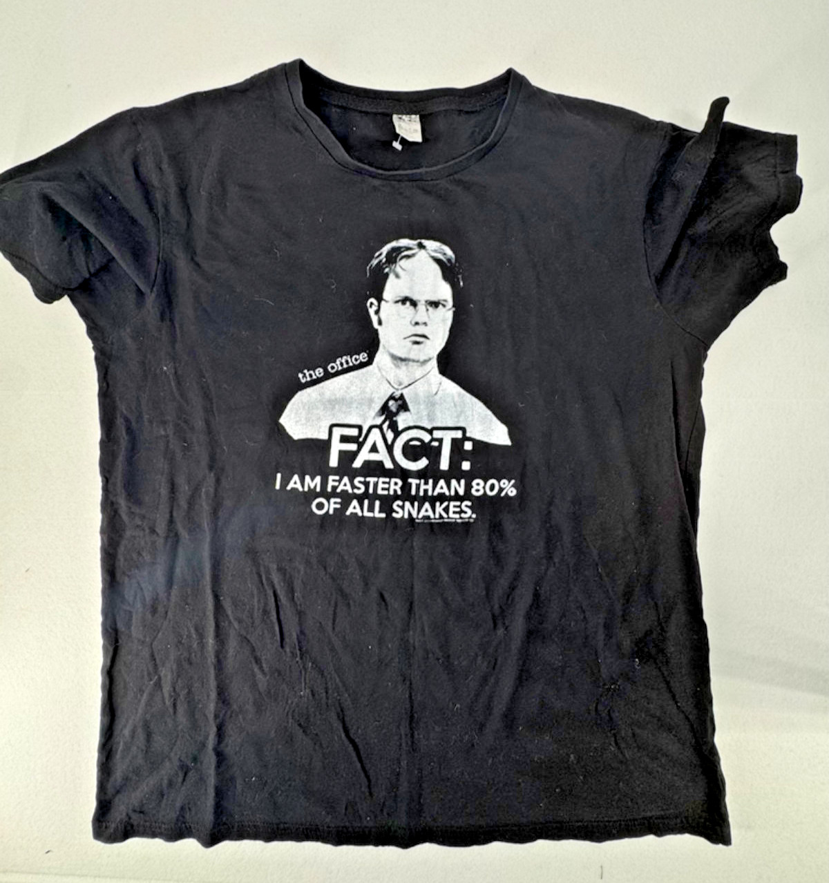 Dwight Schrute Shirt The Office Black Graphic T-Shirt Men’s Funny TV Show Tee