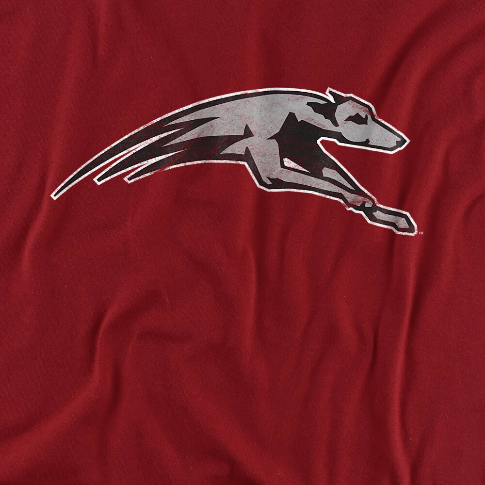 University of Indianapolis Adult T-Shirt Distressed Primary, Cardinal, S-3XL