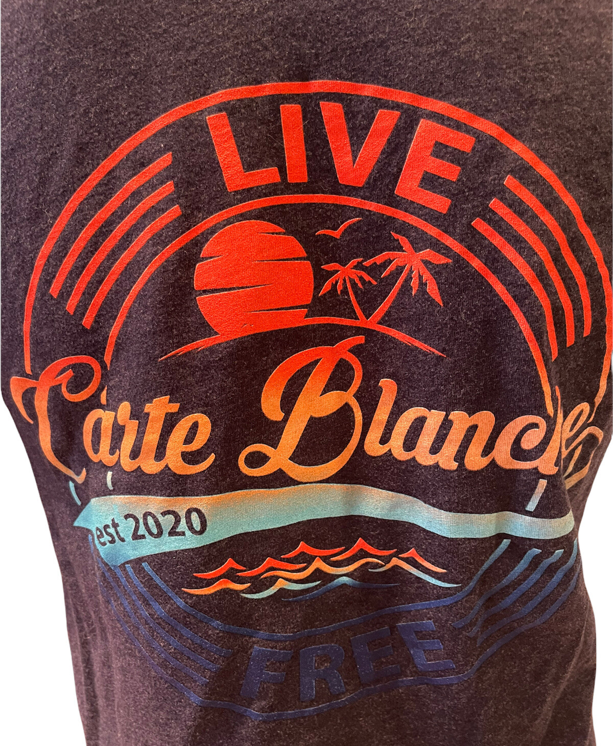Carte Blanche T-Shirt Sz Small Blue Gray “Live Free” “Til Death Do Us Part” Surf