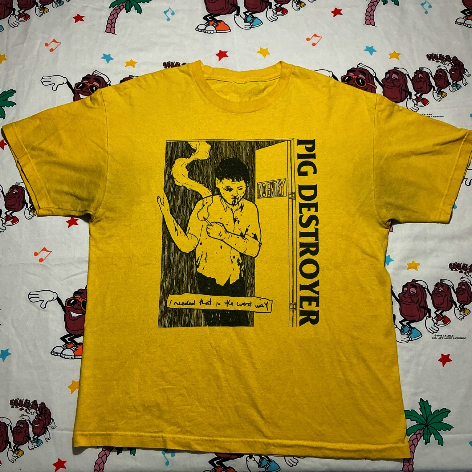 Vintage 90s Grindcore Pig Destroyer Band Daisy T-shirt S to 5XL NZ912