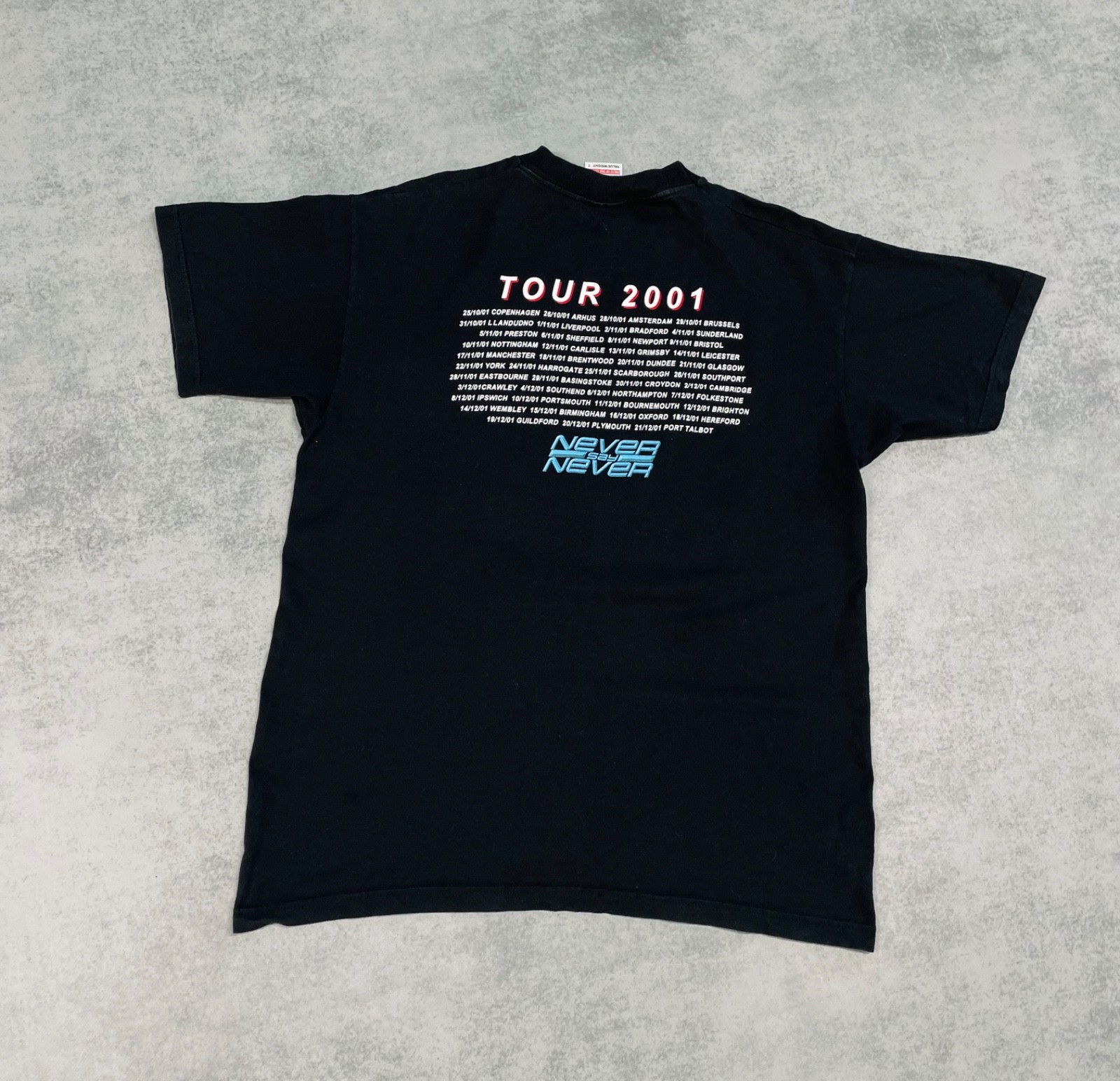Vintage Status QUE Never Say Never 2001 Tour Band T-Shirt Men’s Size L