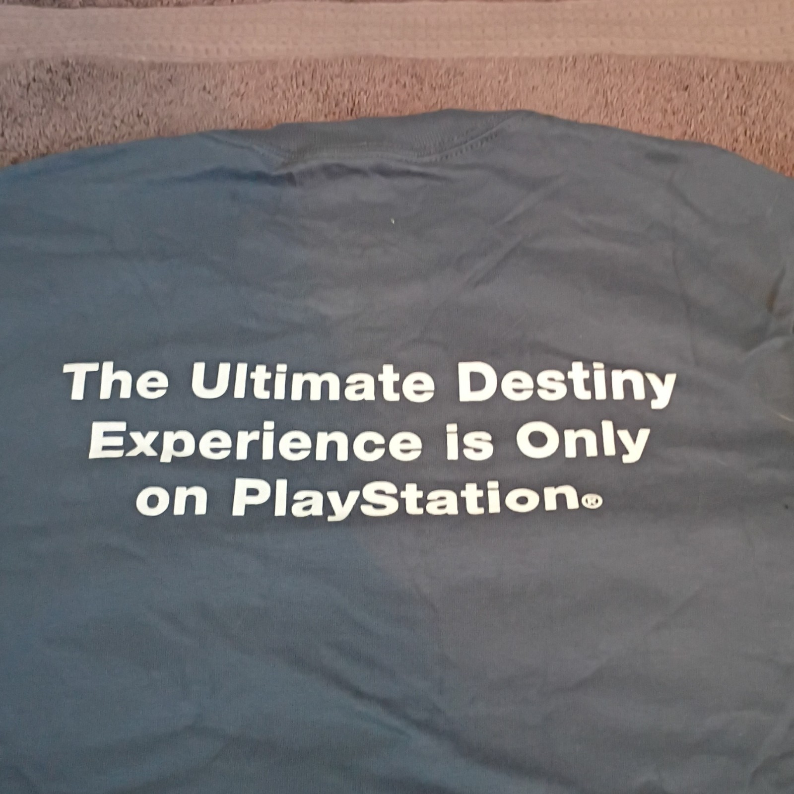 Port & Company Men’s S Blue Cotton Destiny Bungie Graphic T-Shirt