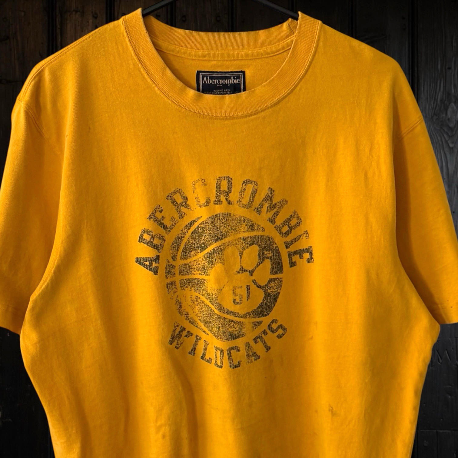 Vintage Y2K Abercrombie & Fitch Wildcats Athletics T Shirt Mens XL Distressed