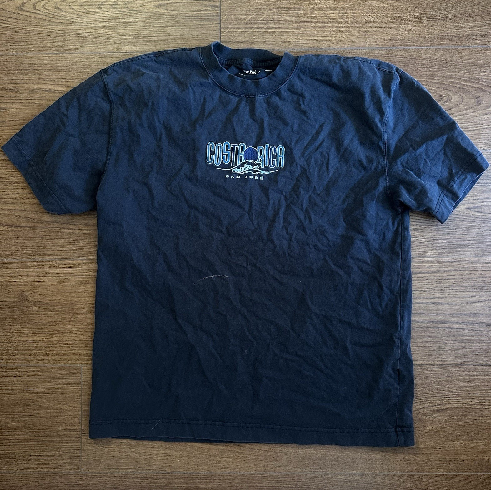 Hollister Heavyweight Boxy Fit Costa Rica Bear Graphic T-Shirt Men’s L Black