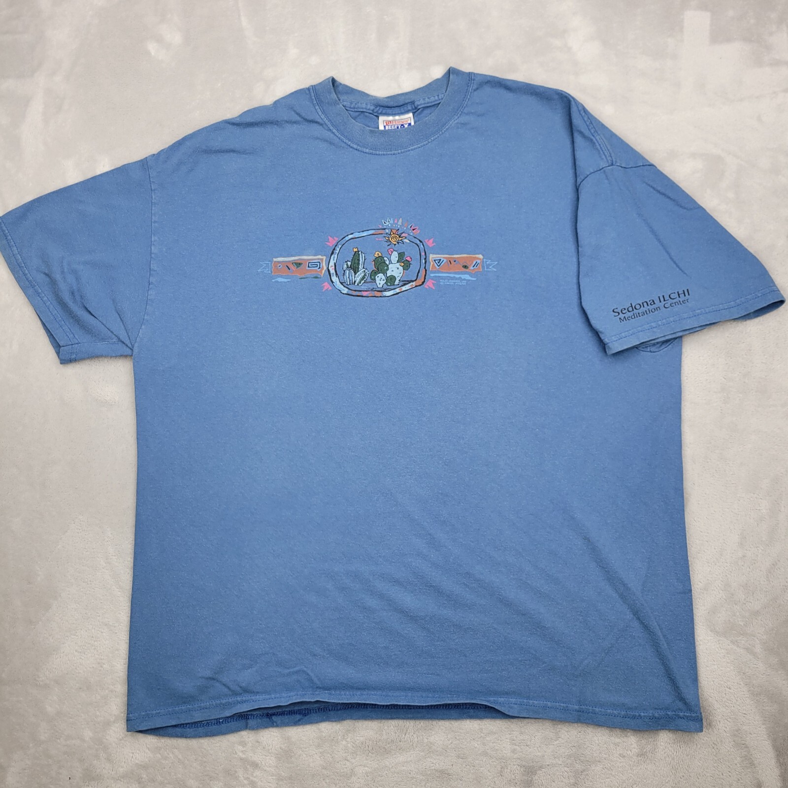 Vintage Hanes Shirt Mens XL Polar Graphics Cactus Desert Sedona ILCH Meditation