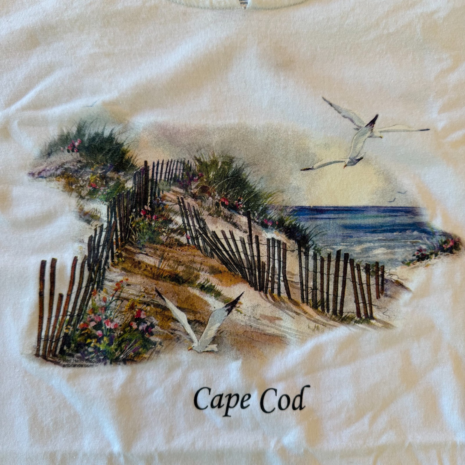 Vintage Hanes Cape Cod White Souvenir T Shirt Beach Dunes Seagulls Tee