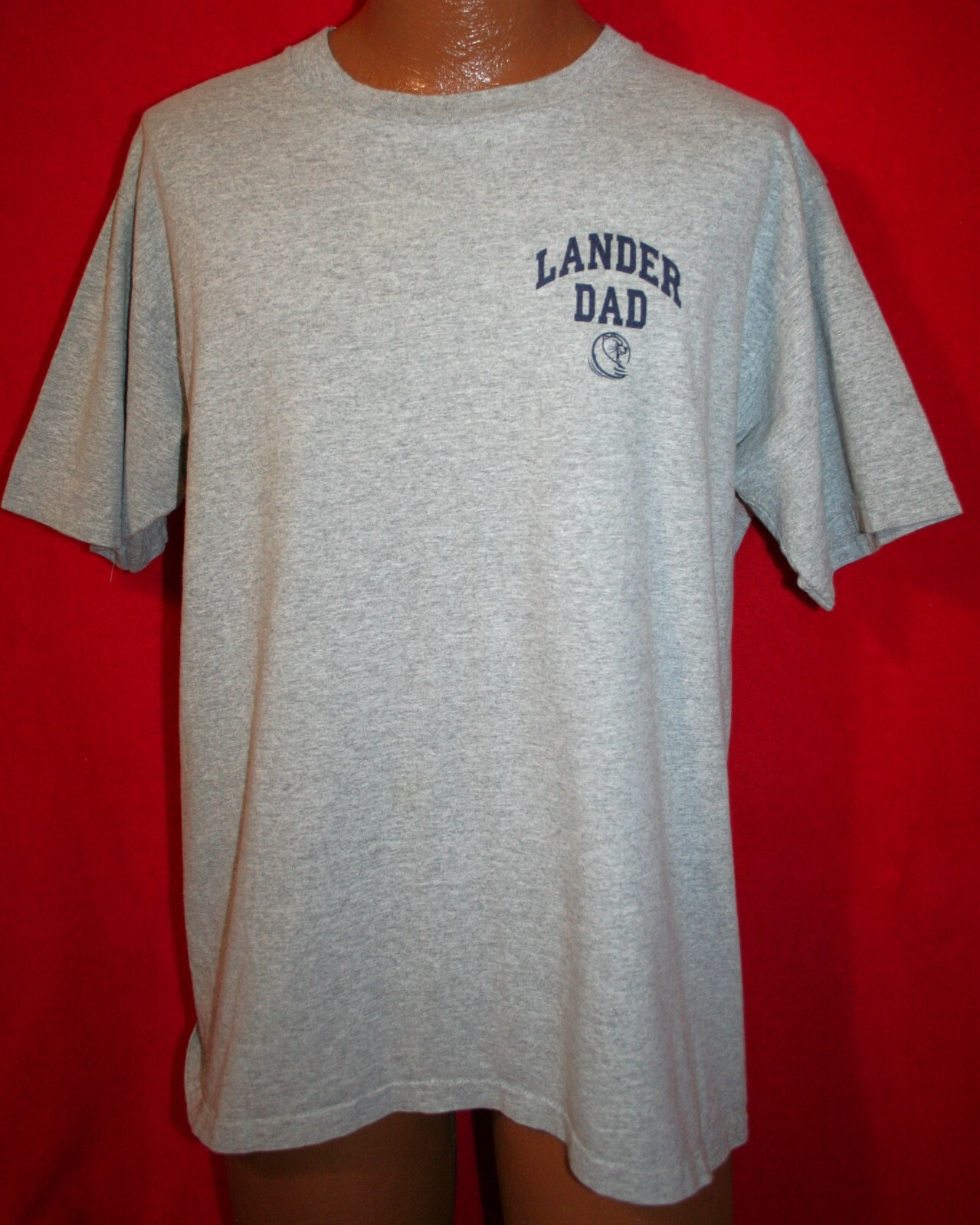 Vtg 90s LANDER DAD College University South Carolina T-SHIRT L Single Stitch