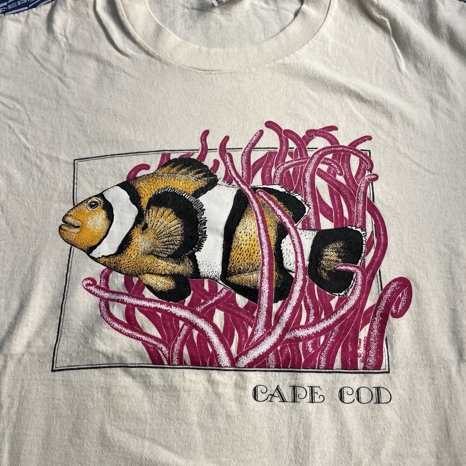 Vintage 90s Cape Cod Ocean Aquatic Clown Fish T Shirt White Size Large Men’s