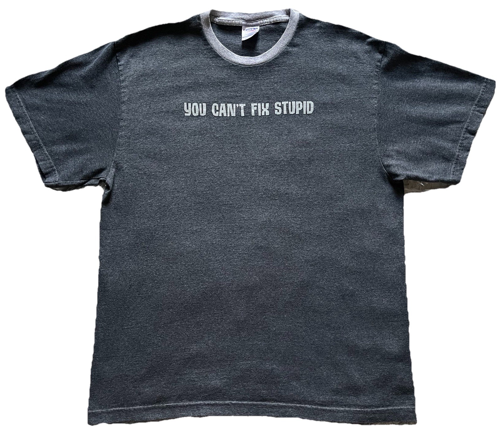 Vintage 90s 2000s You Can’t Fix Stupid T-Shirt Gray Size Large