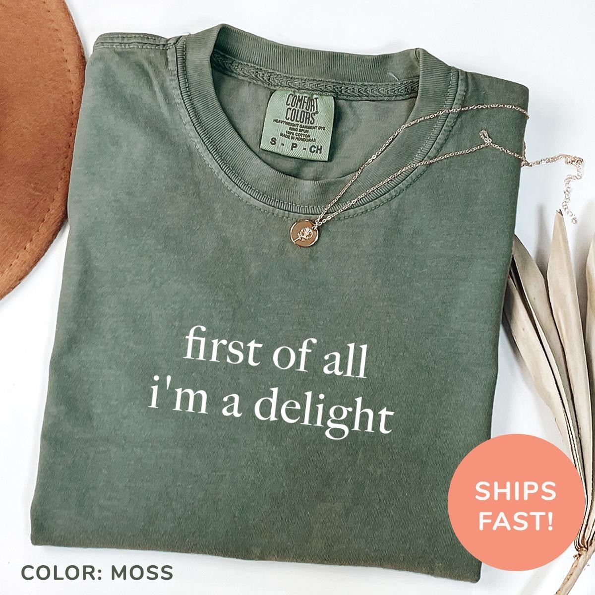 Comfort Colors First of All I 39 m a Delight Shirt Funny Humor Shirt Sarcastic