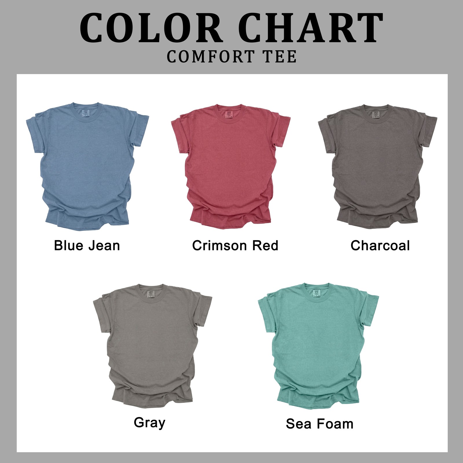 Vintage Mount Rainier Washington Graphic Comfort Tee