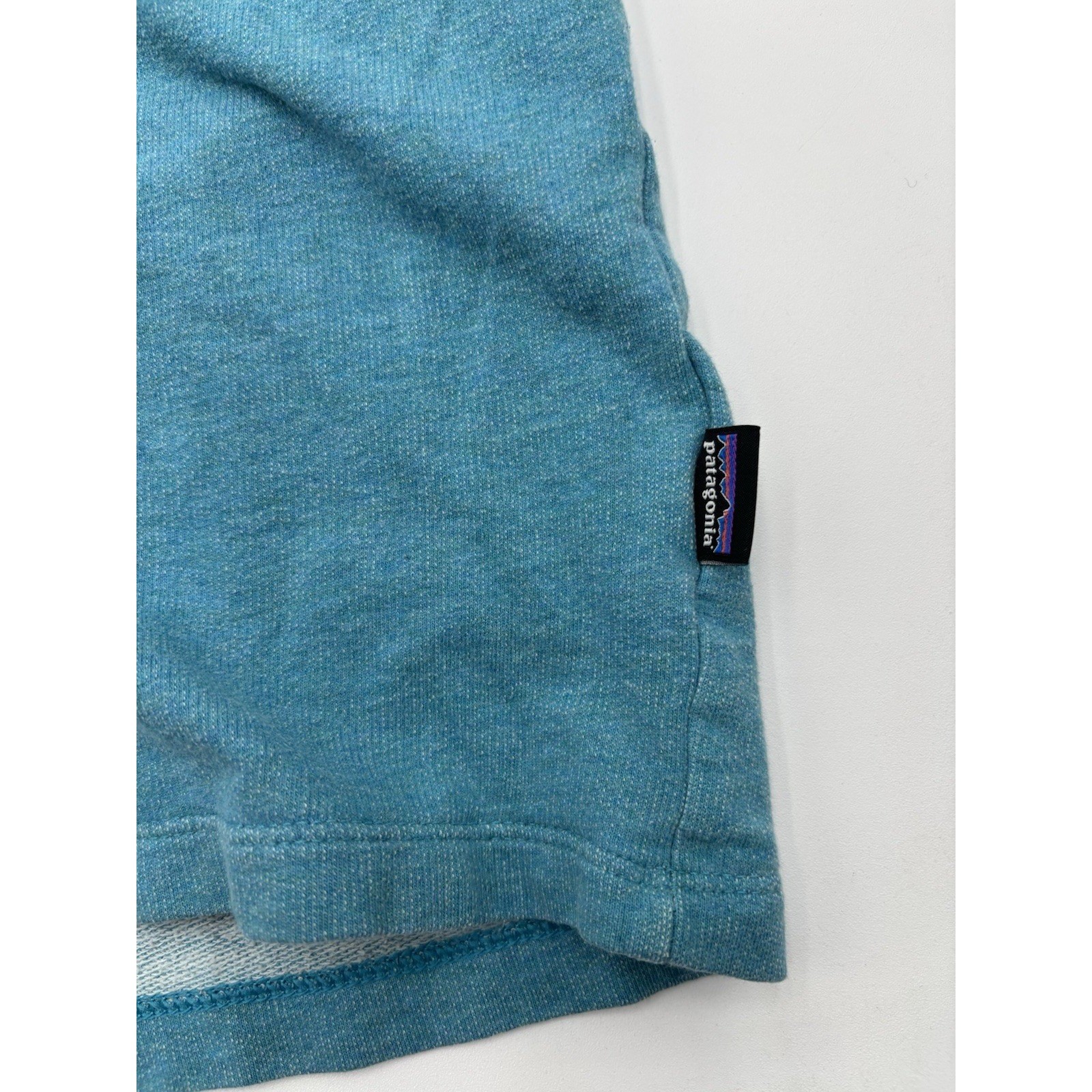Patagonia Men’s Large Organic Cotton Raglan Long Sleeve Shirt Teal Gray Logo