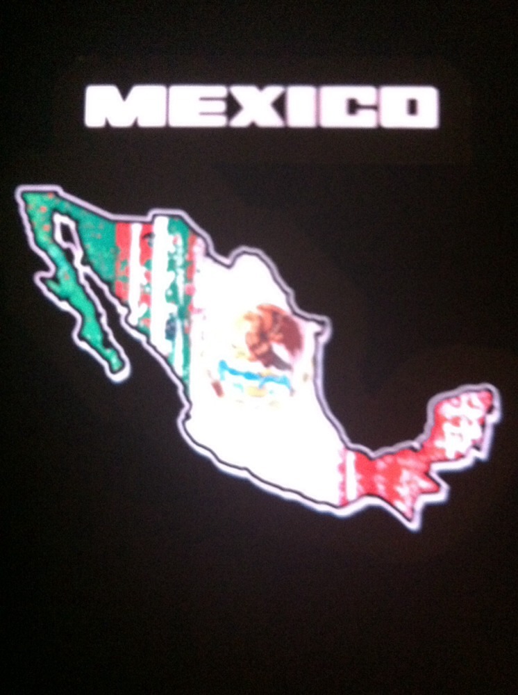 Mexico Flag Sound Activated Lights Up LED Light EL T-Shirt S/L/L/XL/XXL